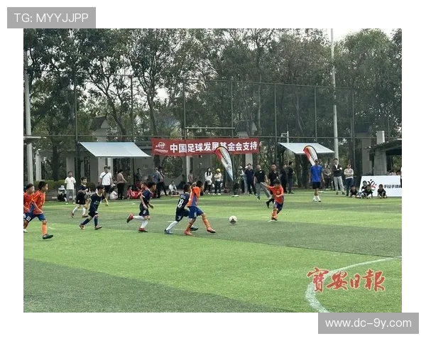 以全国主要城市为核心探讨足球文化发展与城市体育精神融合路径